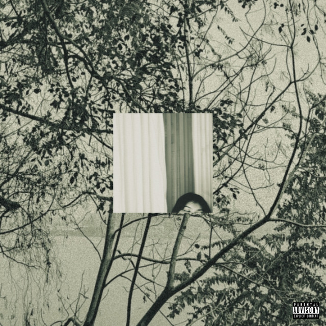 vague cover art