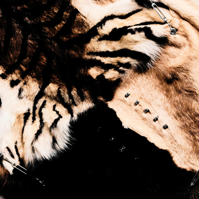 BOYS IN THE JUNGLE cover art