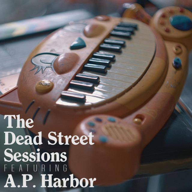 undefined album image