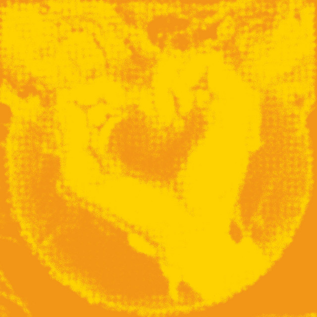 Everything, Nothing cover art