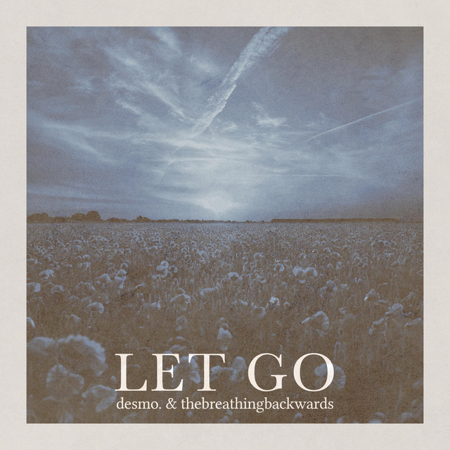 Let Go cover art