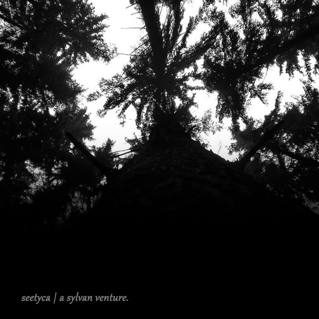 A Sylvan Venture cover