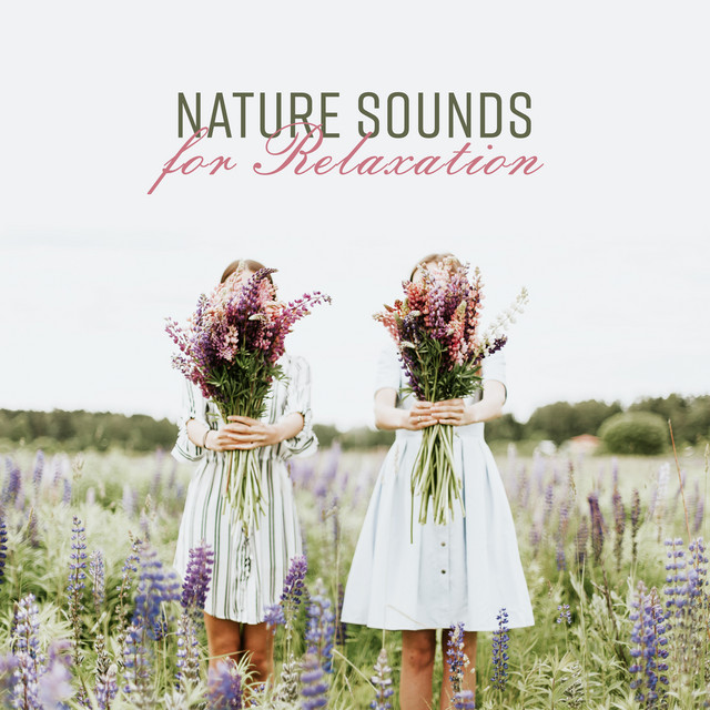 Nature Sounds for Relaxation - Album by Nature Sounds | Spotify