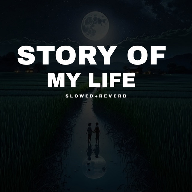 Story Of My Life - Tiktok Version