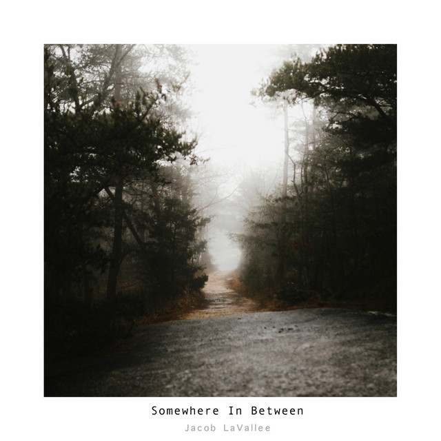 Somewhere in Between by Jacob LaVallee
