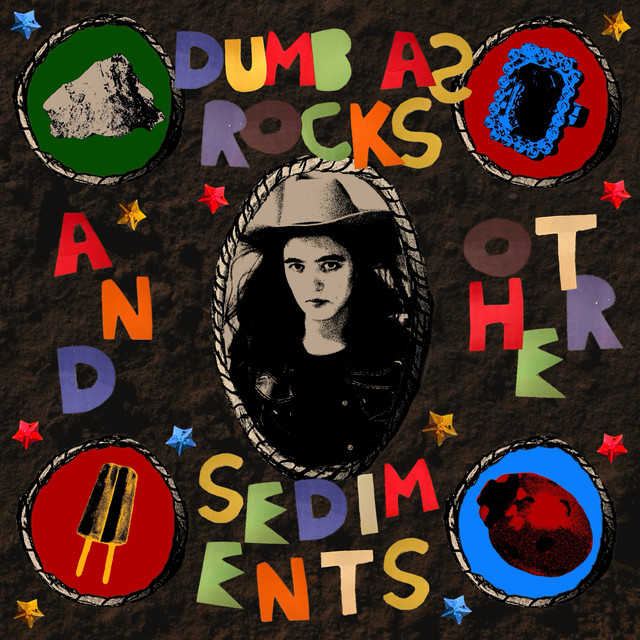 DUMB AS ROCKS AND OTHER SEDIMENTS cover art