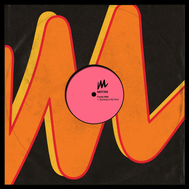 Burning in My Soul - Extended Mix album art