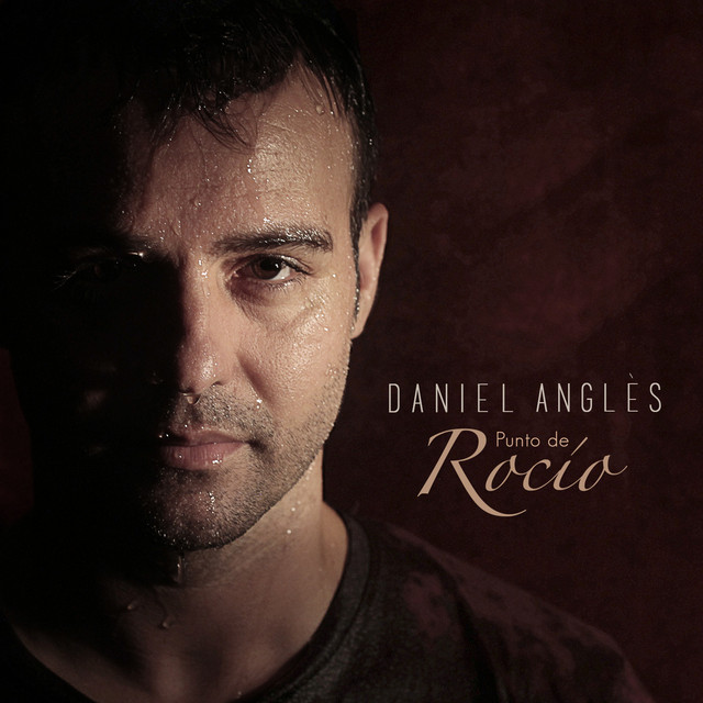 Punto de Rocío cover art