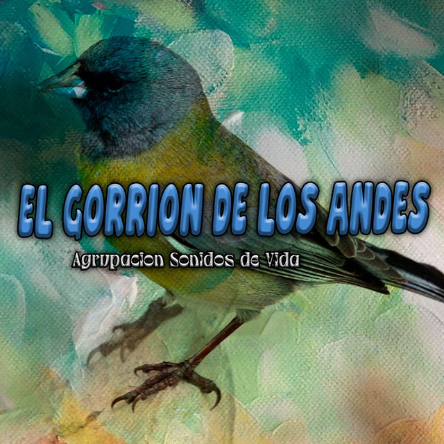 Agrupacion Sonidos de Vida