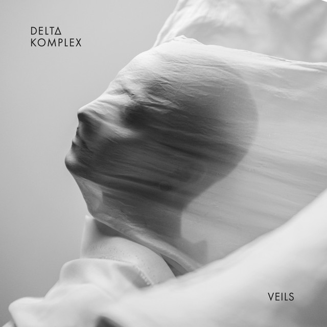 Veils cover art