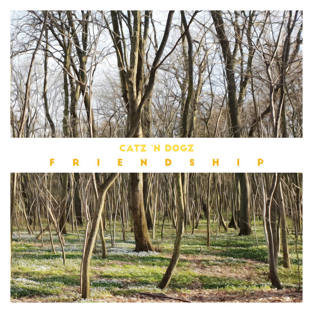 Friendship cover art