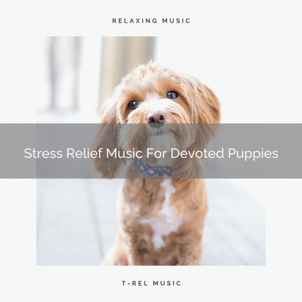 Stress Relief Music For Devoted Puppies cover art