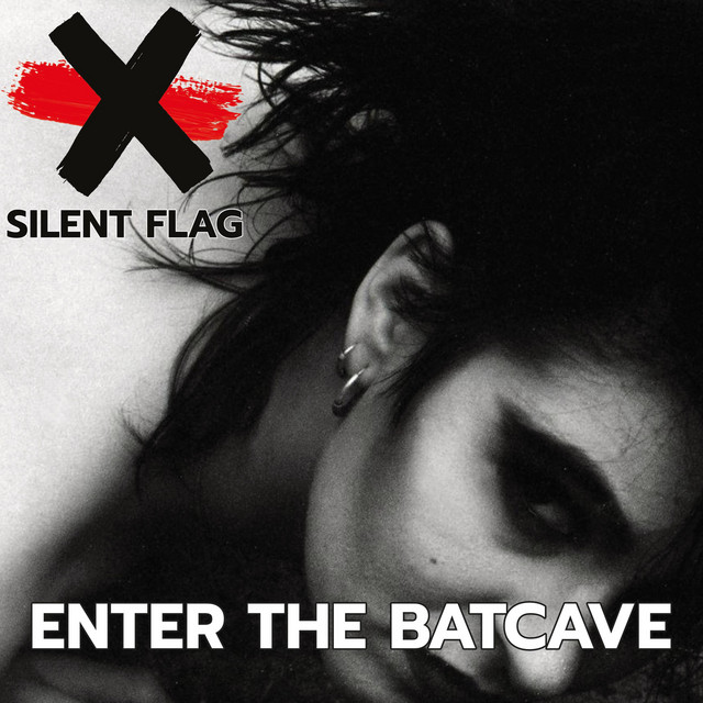 Enter The Batcave cover