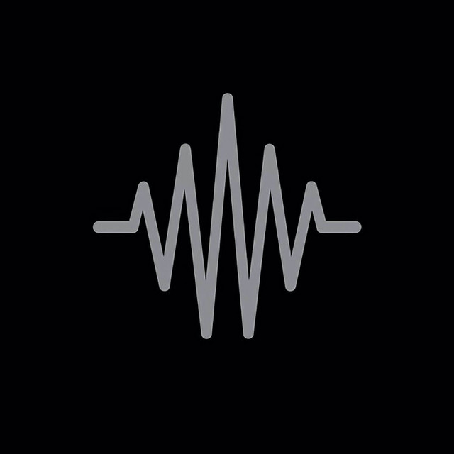 Blütephase cover