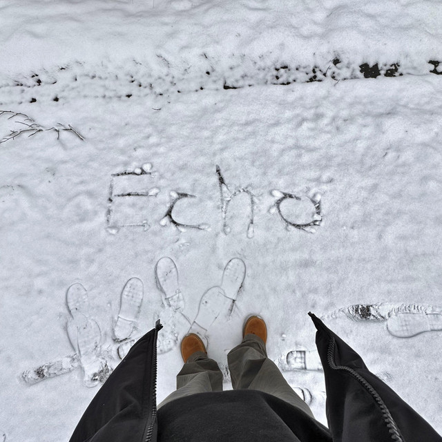 echo cover art