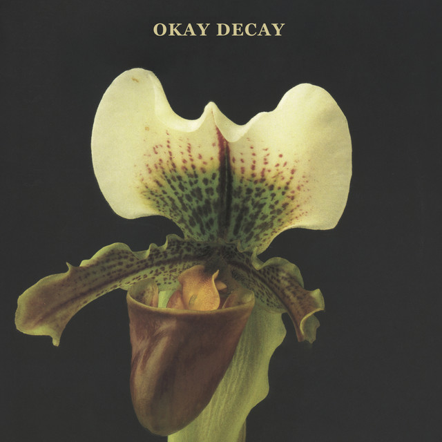 Okay Decay cover