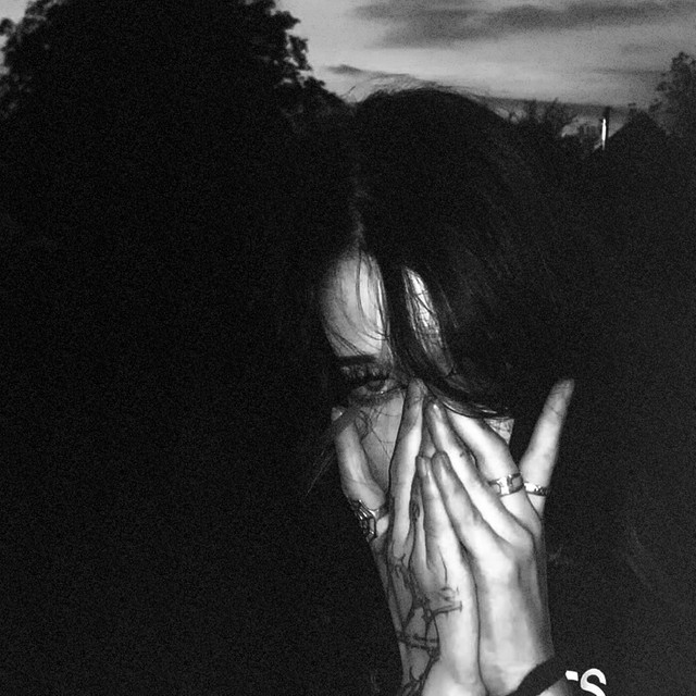 Обкладинка: PANIC ROOM — FEAR MANE