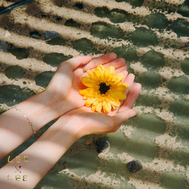Sunset cover art
