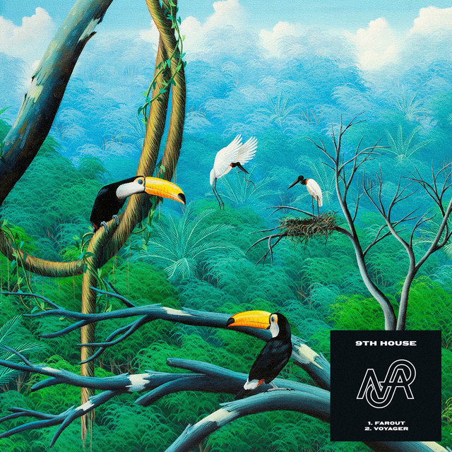 Voyager album art