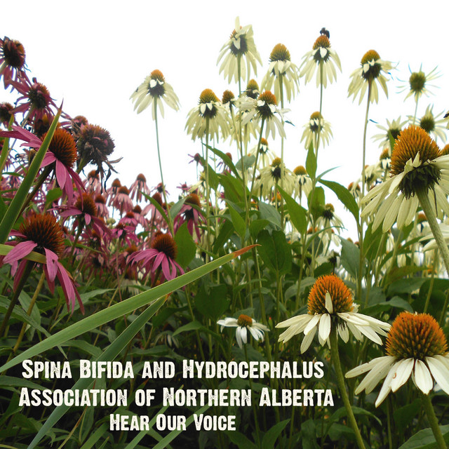 Spina Bifida Photo