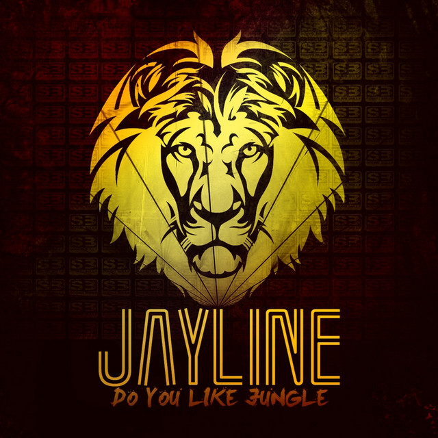 Do You Like Jungle LP cover art