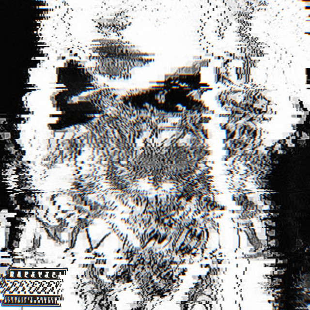 DOWN TO STAY - slowed + reverb