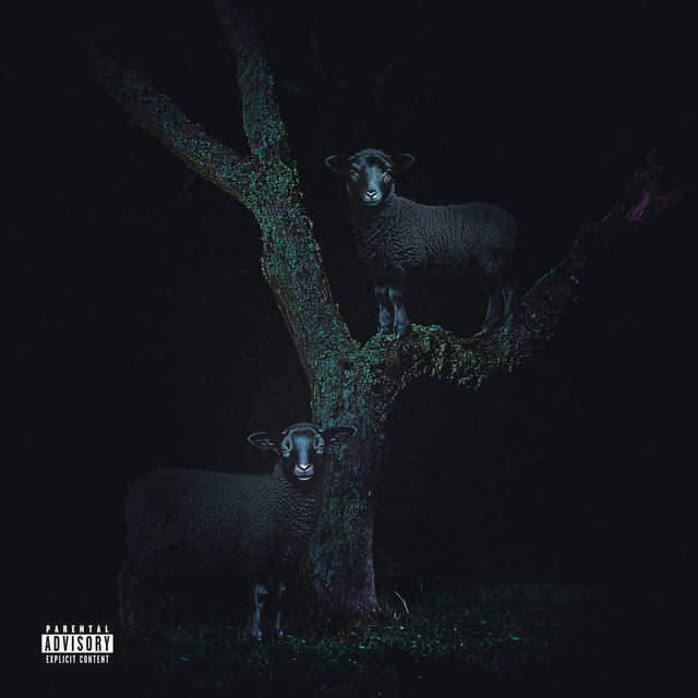 undefined album image