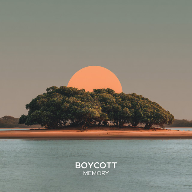 Memory cover art