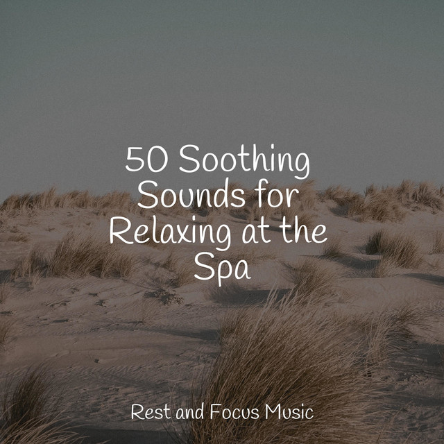 50 Soothing Sounds for Relaxing at the Spa - Album by Wellness | Spotify