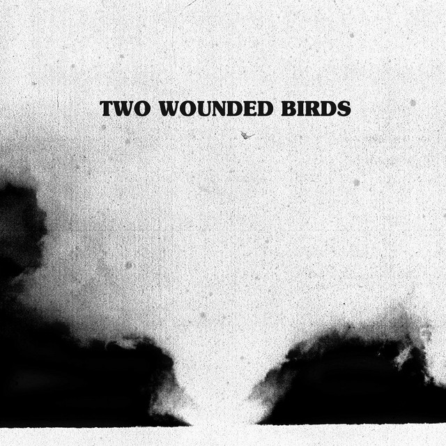 Two Wounded Birds cover art