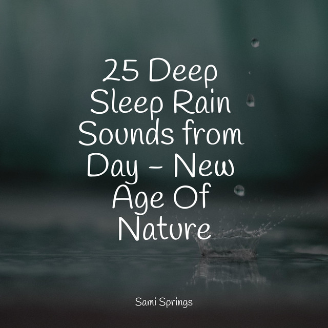 25 Deep Sleep Rain Sounds from Day - New Age Of Nature - Album by ...