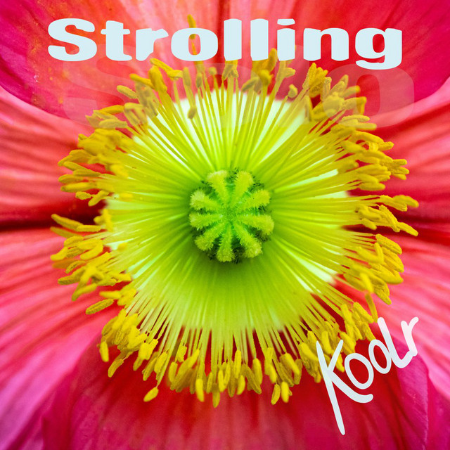 Strolling cover art