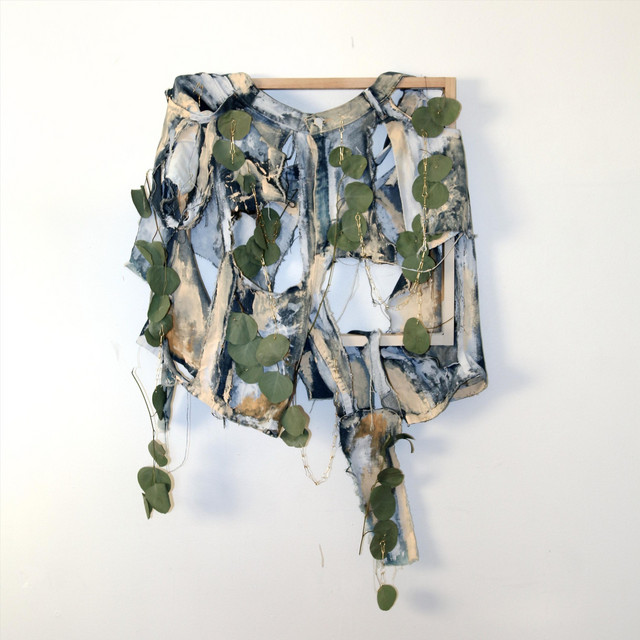Eucalyptus cover
