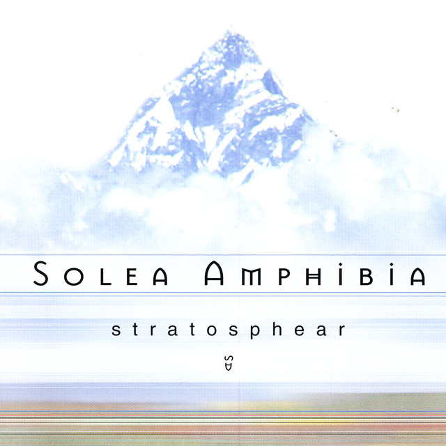 Solea Amphibia Photo