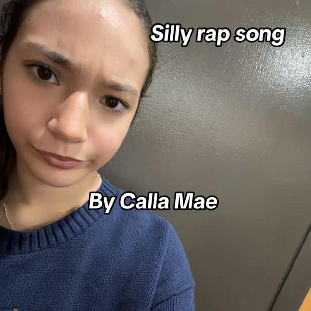 Silly rap song cover
