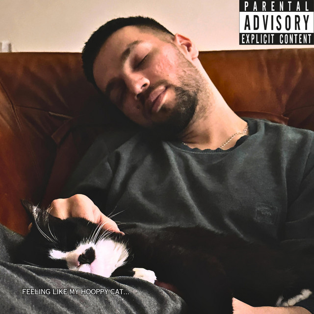 Cover art: 9 Lives — LAOMOS