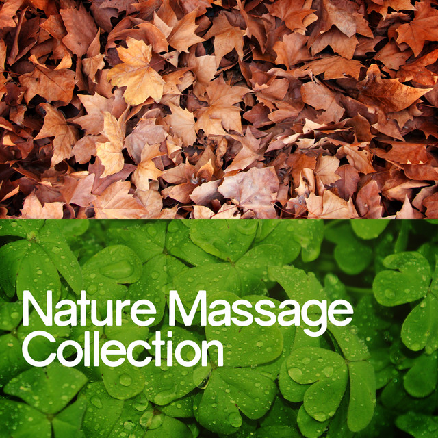 Nature Massage Collection cover art