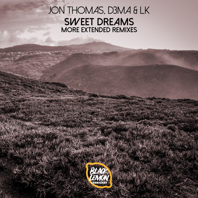 Sweet Dreams (Are Made of This) - Chris Davids Extended Remix cover art