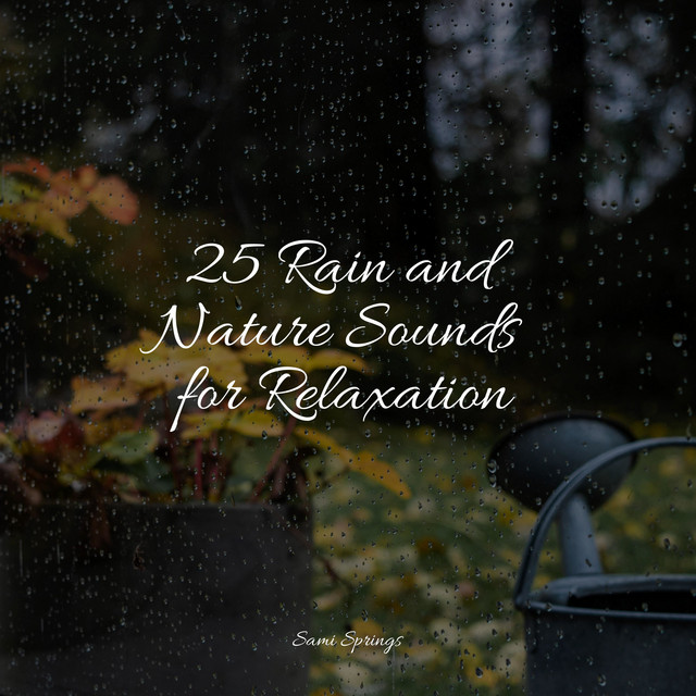 25 Rain and Nature Sounds for Relaxation - Album by Alpha Brain Waves ...