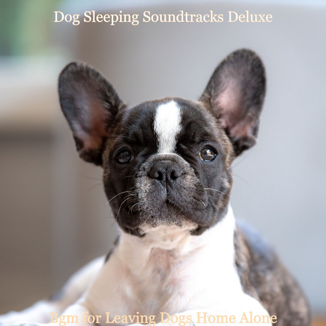Bgm for Leaving Dogs Home Alone cover art