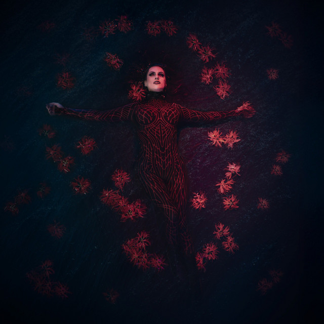 Blood in the Water