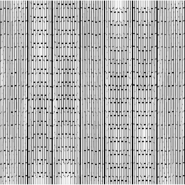 Tetras