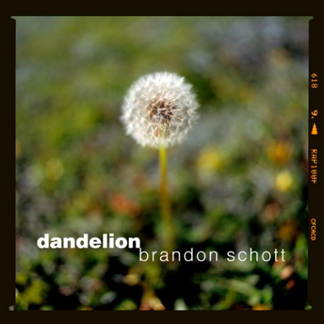 Dandelion cover