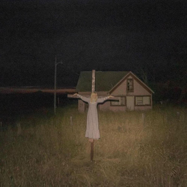 The Asylum cover art