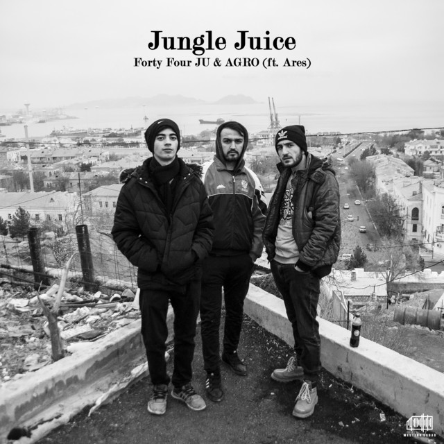 Jungle Juice - Single by Forty Four JU | Spotify