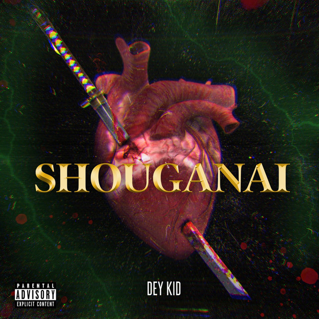 Shouganai cover art