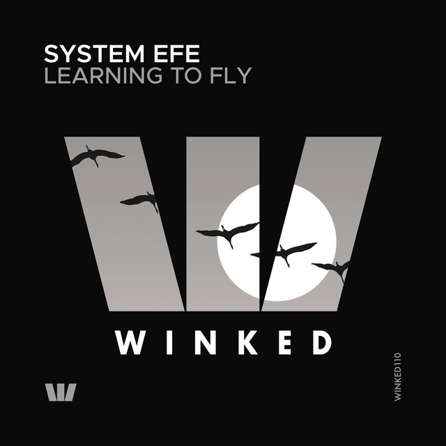 System Efe