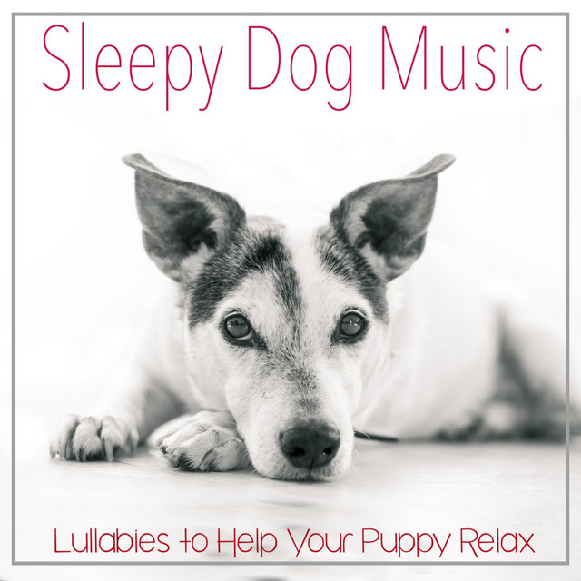 Sleepy Dog Music: Lullabies to Help Your Puppy Relax cover art