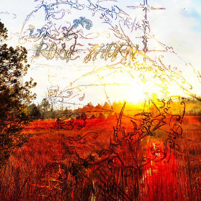 RoseThorn cover art