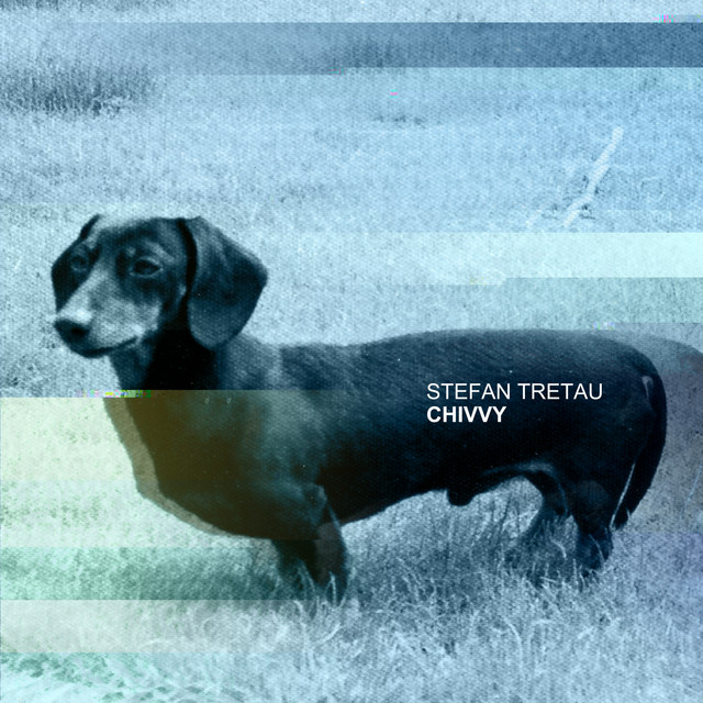 Chivvy cover art